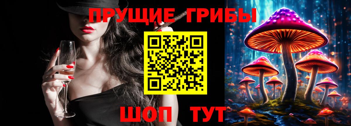 Псилоцибиновые грибы Magic Shrooms  Вход с VPN  Псилоцибиновые грибы Psilocybe  Камень-на-Оби 