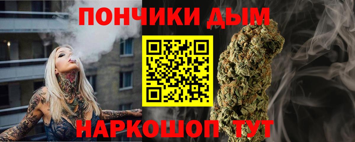 Камень-на-Оби  Каннабис индика  Вход с VPN  МАРИХУАНА план 